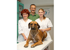 Bildergallerie Tierarztpraxis Ralf Beyer Tierärzte Bautzen