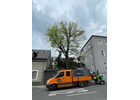 Bildergallerie Pietropoli Antonio Nürnberg
