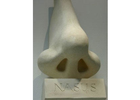 Bildergallerie Bohn Jan Christof Dr.med. FA für Hals-Nasen-Ohren, Allergologie Mittweida