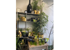 Eigentümer Bilder Blumen schöner schenken Nürnberg