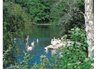 Eigentümer Bilder Stadt Nürnberg Tiergarten Nürnberg
