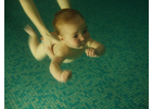 Eigentümer Bilder Elterninitiative Babyschwimmen E.V. Nürnberg