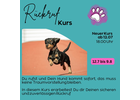 Eigentümer Bilder Pfotenliebe Stuttgart Stuttgart