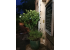 Eigentümer Bilder Pinsa Bar by Galerie Bistro Bistro Stuttgart