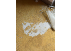 Eigentümer Bilder Eugen Dienstleistungen Waiblingen