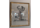 Eigentümer Bilder gladiator family reha/fitness und körperschule Crailsheim