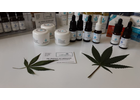 Bildergallerie Cannabis-Hanfexpress Heilbronn