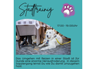 Eigentümer Bilder Pfotenliebe Stuttgart Stuttgart