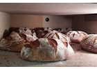 Bildergallerie Hörchers Bauernladen Widdern